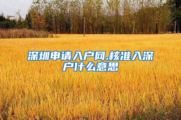 深圳申请入户网,核准入深户什么意思