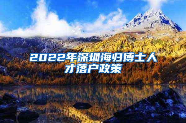 2022年深圳海归博士人才落户政策