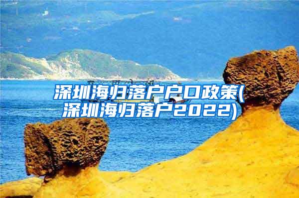 深圳海归落户户口政策(深圳海归落户2022)