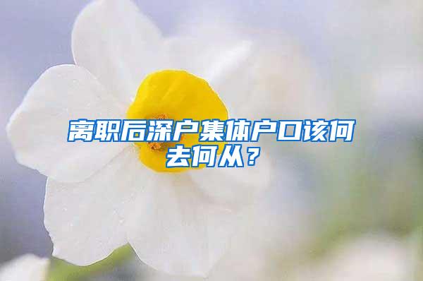 离职后深户集体户口该何去何从？