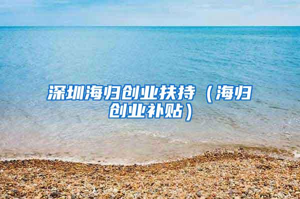 深圳海归创业扶持（海归创业补贴）