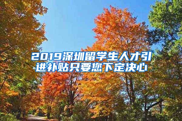 2019深圳留学生人才引进补贴只要您下定决心