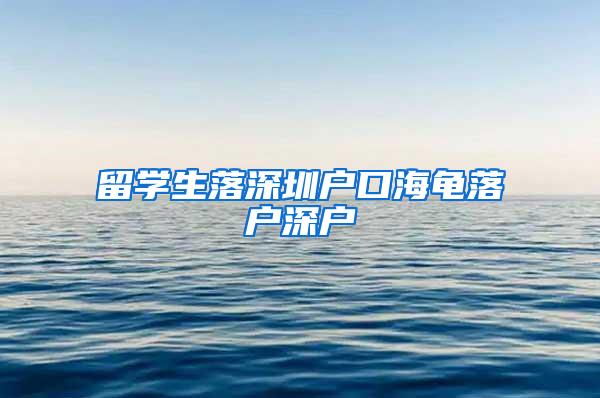 留学生落深圳户口海龟落户深户