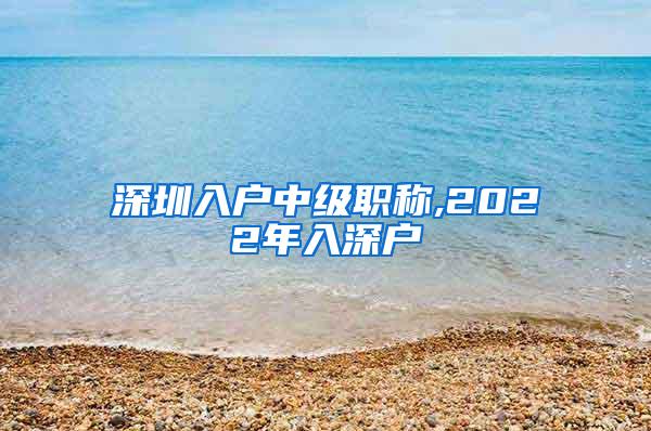 深圳入户中级职称,2022年入深户