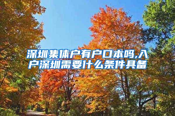 深圳集体户有户口本吗,入户深圳需要什么条件具备