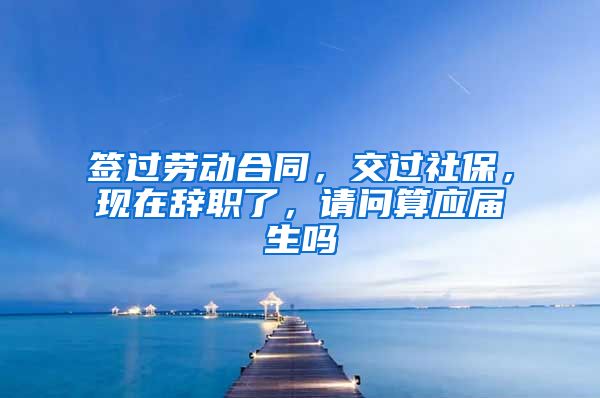 签过劳动合同，交过社保，现在辞职了，请问算应届生吗