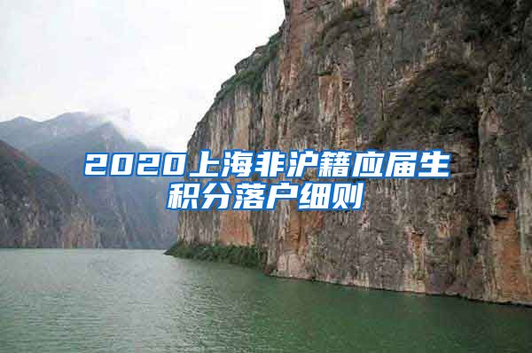 2020上海非沪籍应届生积分落户细则