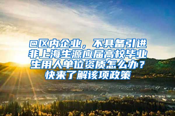 @区内企业，不具备引进非上海生源应届高校毕业生用人单位资质怎么办？快来了解该项政策