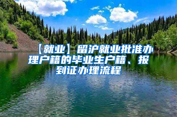 【就业】留沪就业批准办理户籍的毕业生户籍、报到证办理流程