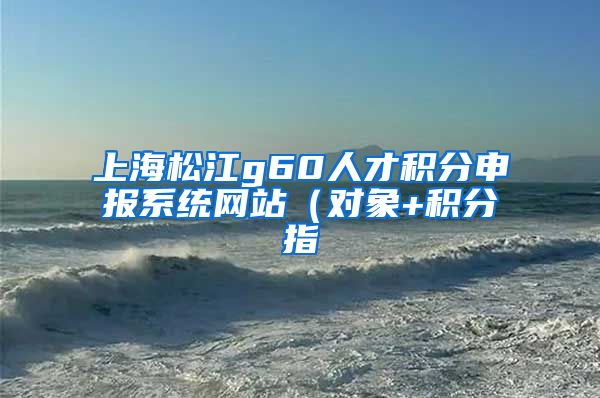 上海松江g60人才积分申报系统网站（对象+积分指