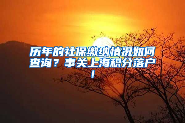 历年的社保缴纳情况如何查询？事关上海积分落户!