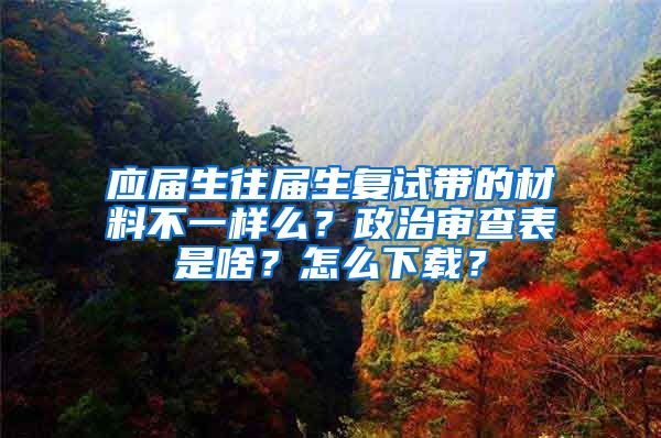 应届生往届生复试带的材料不一样么？政治审查表是啥？怎么下载？