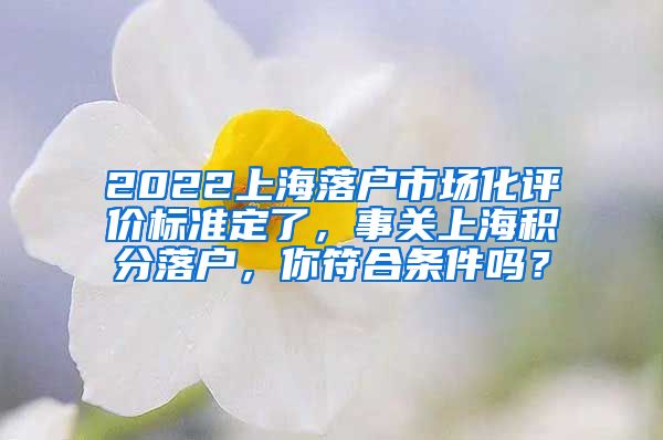 2022上海落户市场化评价标准定了，事关上海积分落户，你符合条件吗？