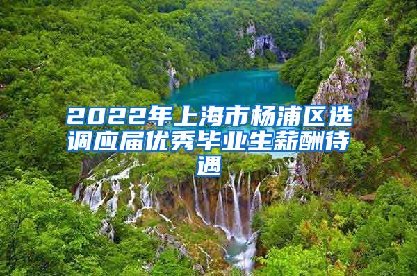 2022年上海市杨浦区选调应届优秀毕业生薪酬待遇