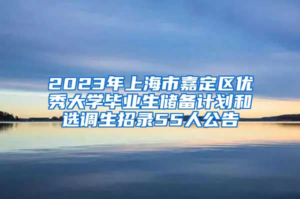 2023年上海市嘉定区优秀大学毕业生储备计划和选调生招录55人公告