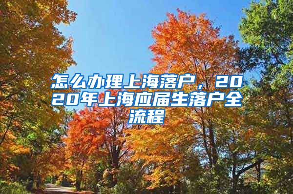 怎么办理上海落户，2020年上海应届生落户全流程