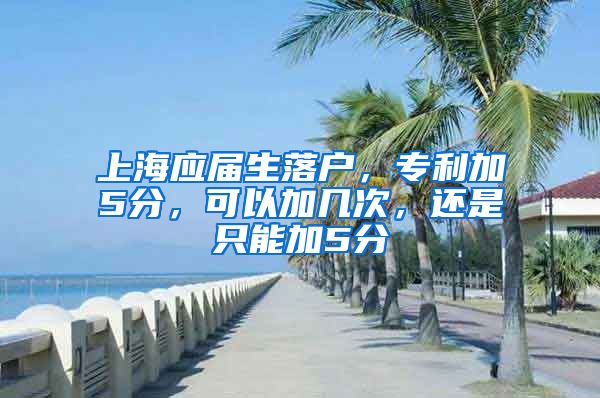 上海应届生落户，专利加5分，可以加几次，还是只能加5分