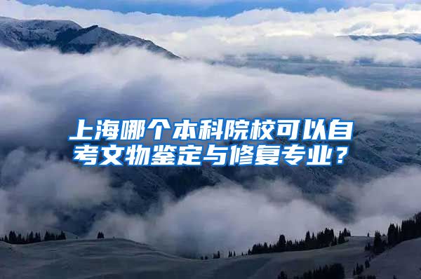 上海哪个本科院校可以自考文物鉴定与修复专业？