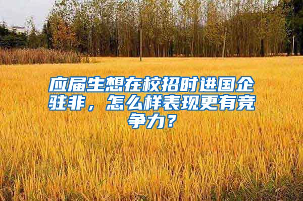 应届生想在校招时进国企驻非，怎么样表现更有竞争力？