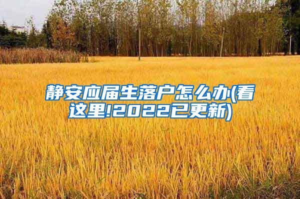 静安应届生落户怎么办(看这里!2022已更新)