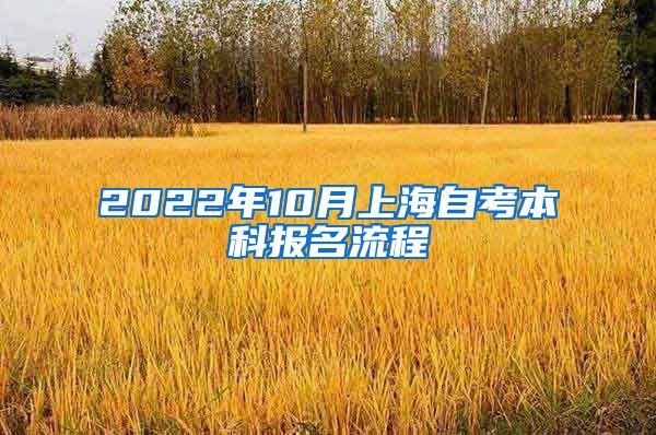 2022年10月上海自考本科报名流程