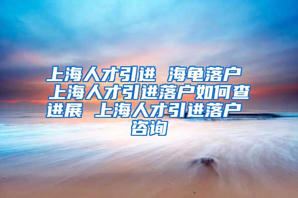 上海人才引进 海龟落户 上海人才引进落户如何查进展 上海人才引进落户 咨询