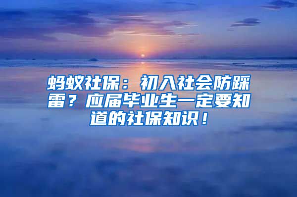 蚂蚁社保：初入社会防踩雷？应届毕业生一定要知道的社保知识！