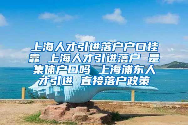 上海人才引进落户户口挂靠 上海人才引进落户 是集体户口吗 上海浦东人才引进 直接落户政策