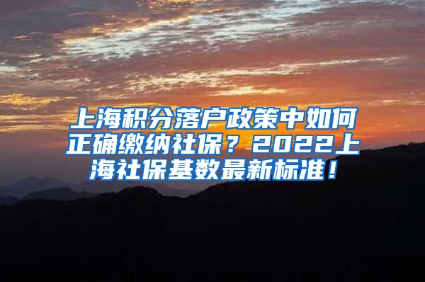 上海积分落户政策中如何正确缴纳社保？2022上海社保基数最新标准！