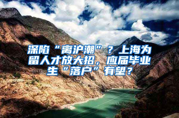 深陷“离沪潮”？上海为留人才放大招，应届毕业生“落户”有望？