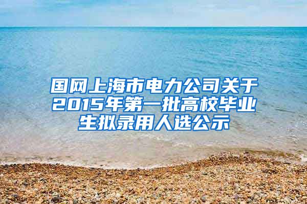 国网上海市电力公司关于2015年第一批高校毕业生拟录用人选公示