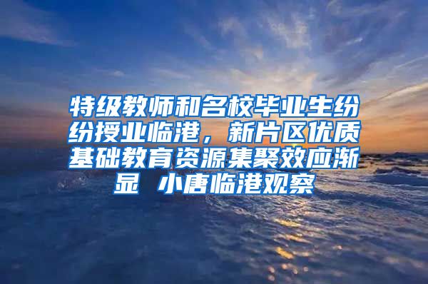 特级教师和名校毕业生纷纷授业临港，新片区优质基础教育资源集聚效应渐显 小唐临港观察