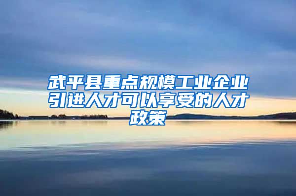 武平县重点规模工业企业引进人才可以享受的人才政策