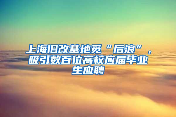 上海旧改基地觅“后浪”，吸引数百位高校应届毕业生应聘