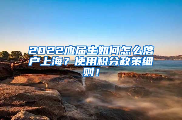 2022应届生如何怎么落户上海？使用积分政策细则！