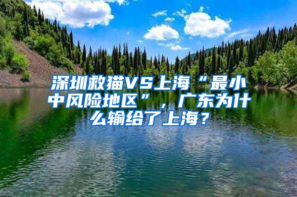 深圳救猫VS上海“最小中风险地区”，广东为什么输给了上海？