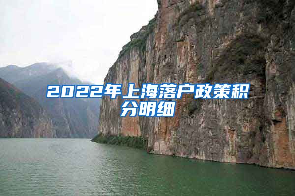 2022年上海落户政策积分明细