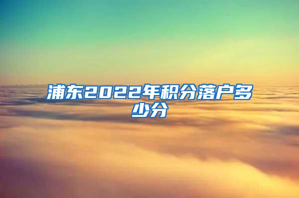 浦东2022年积分落户多少分