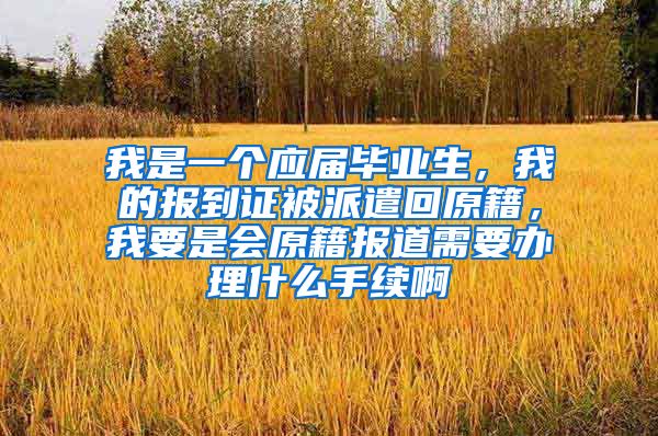 我是一个应届毕业生，我的报到证被派遣回原籍，我要是会原籍报道需要办理什么手续啊