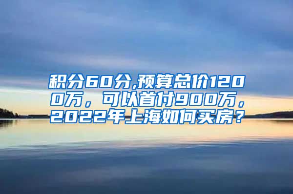 积分60分,预算总价1200万，可以首付900万，2022年上海如何买房？