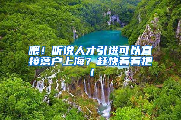 喂！听说人才引进可以直接落户上海？赶快看看把！