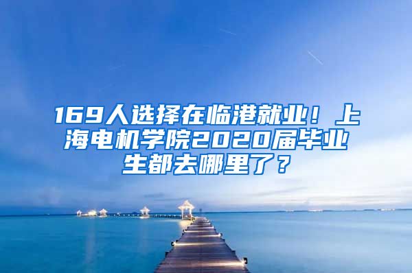 169人选择在临港就业！上海电机学院2020届毕业生都去哪里了？