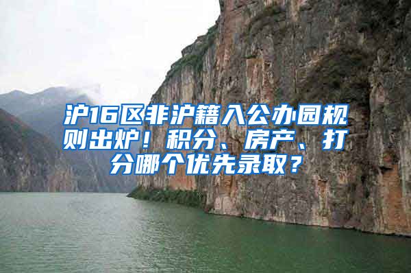 沪16区非沪籍入公办园规则出炉！积分、房产、打分哪个优先录取？