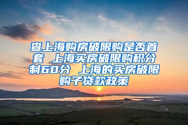 查上海购房破限购是否首套 上海买房破限购积分制60分 上海的买房破限购子贷款政策