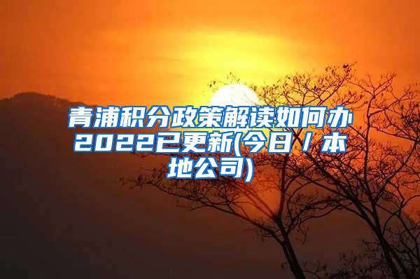 青浦积分政策解读如何办2022已更新(今日／本地公司)