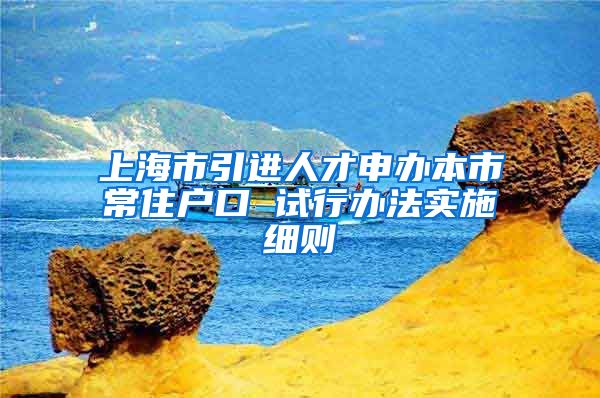 上海市引进人才申办本市常住户口 试行办法实施细则