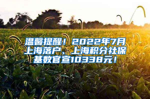 温馨提醒！2022年7月上海落户、上海积分社保基数官宣10338元！