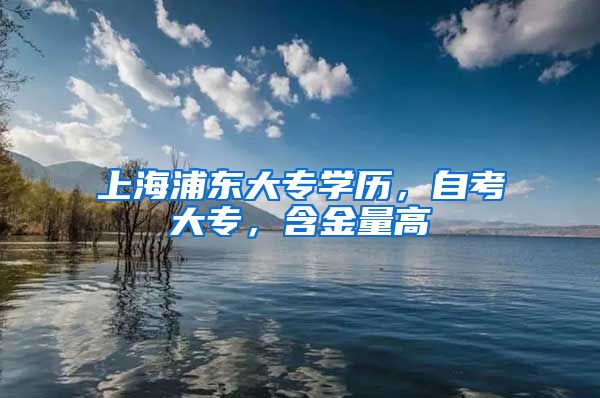 上海浦东大专学历，自考大专，含金量高