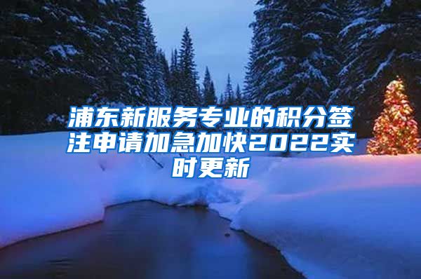 浦东新服务专业的积分签注申请加急加快2022实时更新