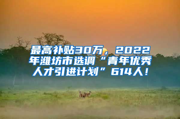 最高补贴30万，2022年潍坊市选调“青年优秀人才引进计划”614人！